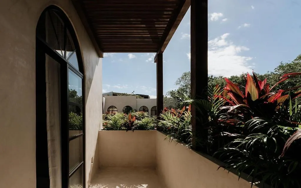 Casa Colina Stunning Pool Rooftop Bbq N Lounge 图卢姆